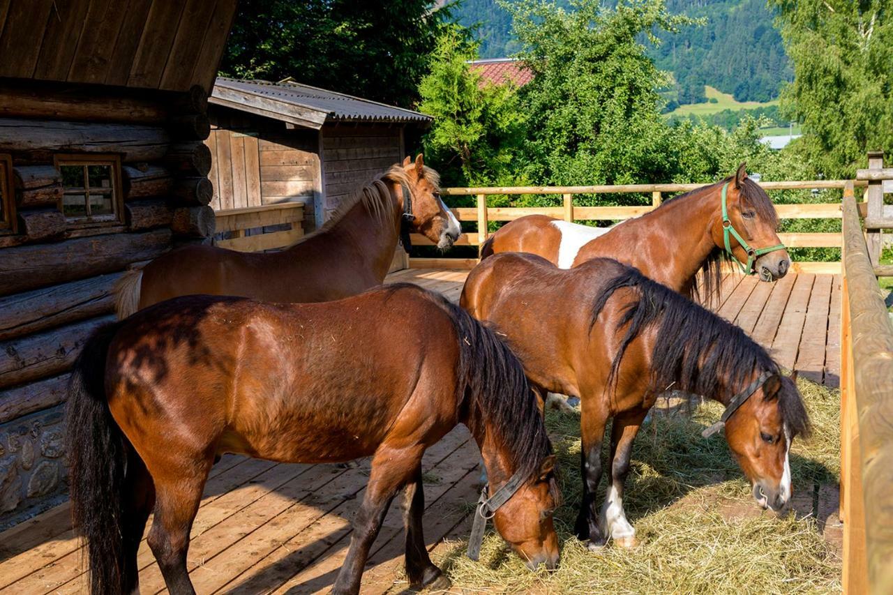 Ferienhaus / Chalet Lerch Villa Sankt Johann im Pongau Exteriör bild